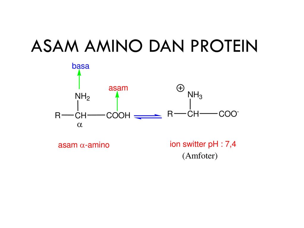 Detail Gambar Struktur Asam Amino Nomer 16