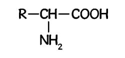 Detail Gambar Struktur Asam Amino Nomer 20