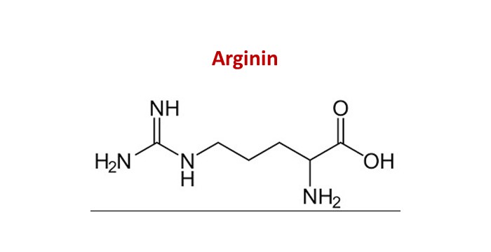 Detail Gambar Struktur Asam Amino Nomer 28