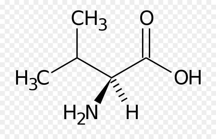 Detail Gambar Struktur Asam Amino Nomer 45