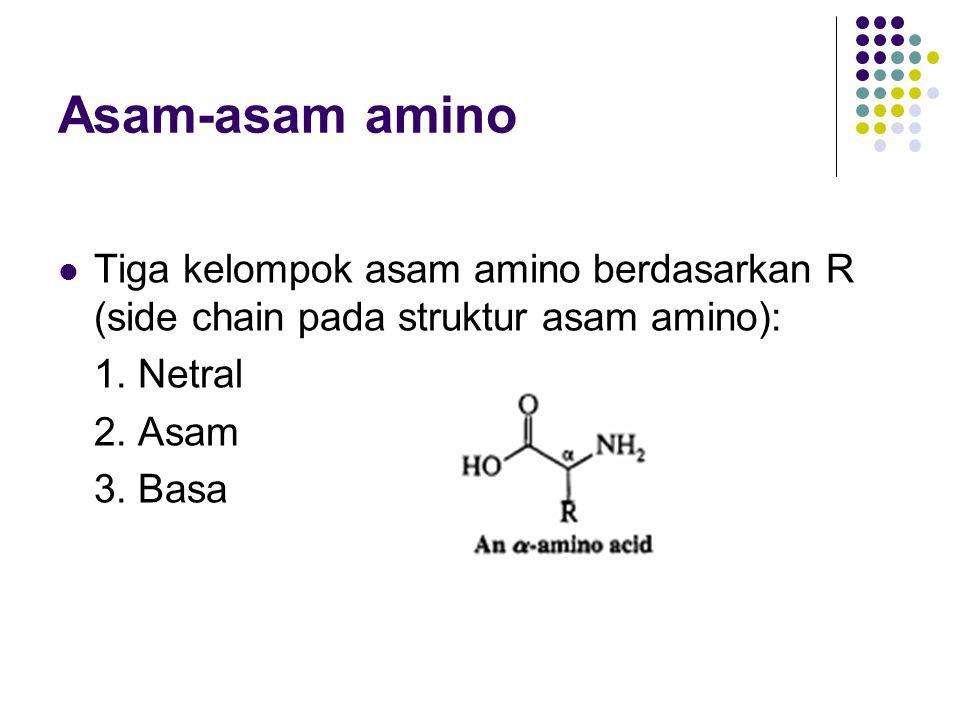 Detail Gambar Struktur Asam Amino Nomer 48