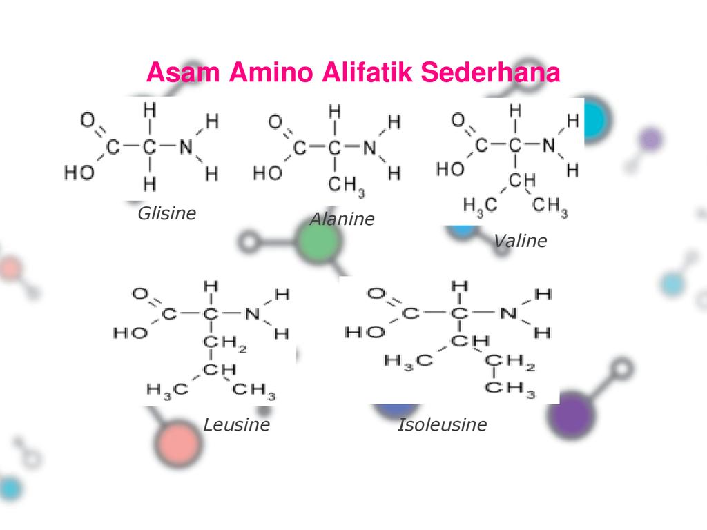 Detail Gambar Struktur Asam Amino Nomer 50