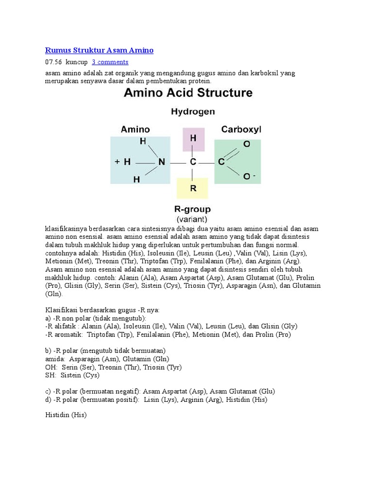 Detail Gambar Struktur Asam Amino Nomer 52