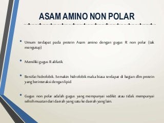 Detail Gambar Struktur Asam Amino Dengan Gugus R Mengutub Tak Bermuatan Nomer 16