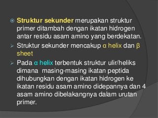 Detail Gambar Struktur Asam Amino Dengan Gugus R Mengutub Tak Bermuatan Nomer 18