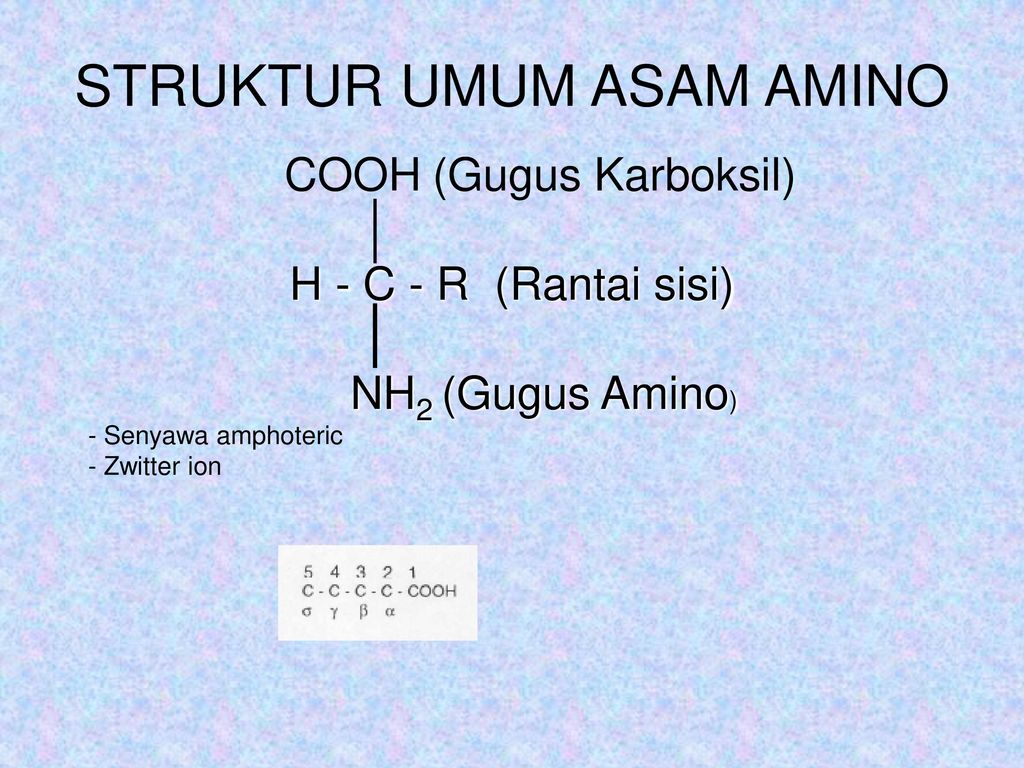 Detail Gambar Struktur Asam Amino Dengan Gugus R Mengutub Tak Bermuatan Nomer 20