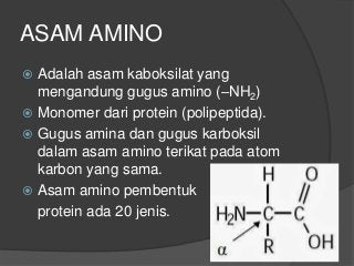 Detail Gambar Struktur Asam Amino Dengan Gugus R Mengutub Tak Bermuatan Nomer 23