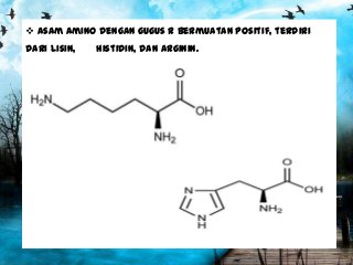 Detail Gambar Struktur Asam Amino Dengan Gugus R Mengutub Tak Bermuatan Nomer 25