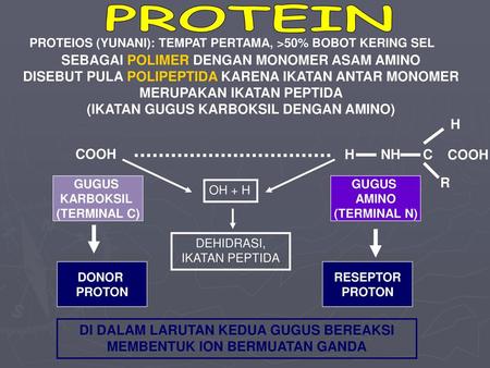 Detail Gambar Struktur Asam Amino Dengan Gugus R Mengutub Tak Bermuatan Nomer 41