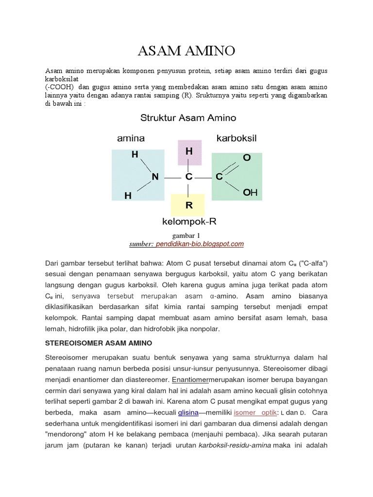 Detail Gambar Struktur Asam Amino Dengan Gugus R Mengutub Tak Bermuatan Nomer 6