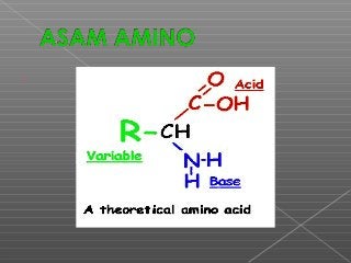 Detail Gambar Struktur Asam Amino Dengan Gugus R Mengutub Tak Bermuatan Nomer 58