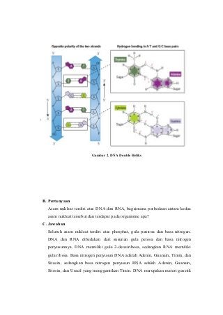 Detail Gambar Struktur Asam Nukleat Nomer 34