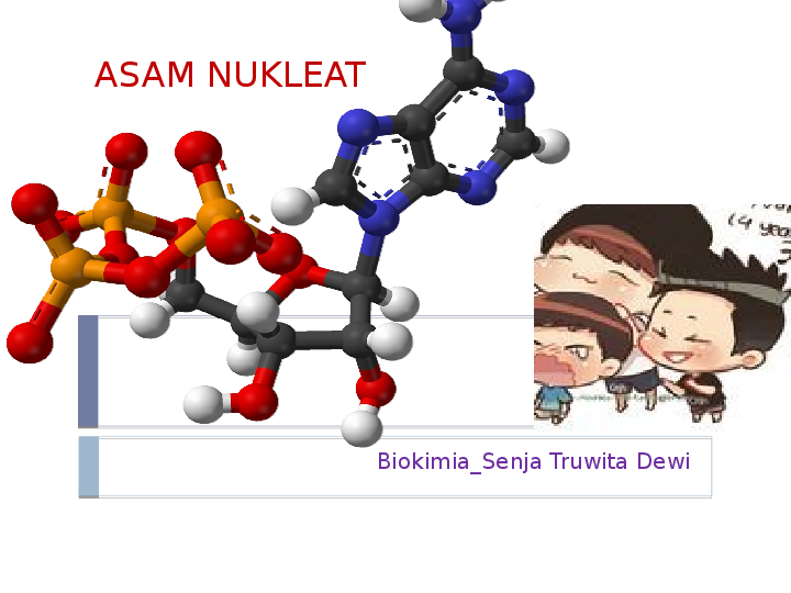 Detail Gambar Struktur Asam Nukleat Nomer 38