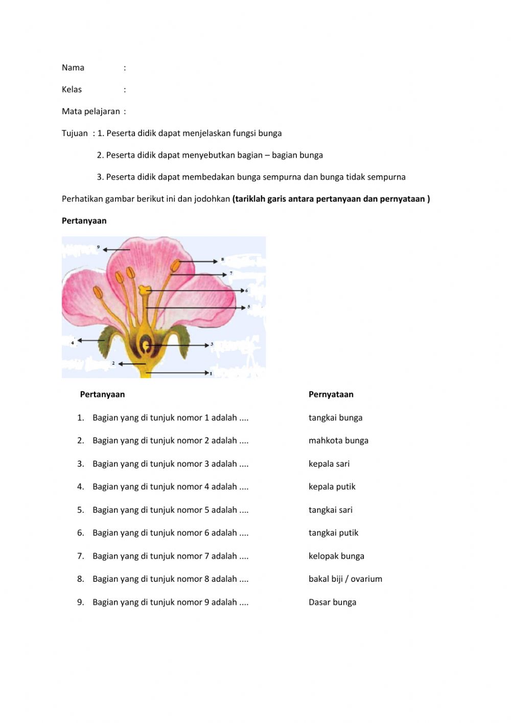 Detail Gambar Struktur Bunga Nomer 45