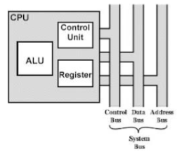 Detail Gambar Struktur Cpu Nomer 23