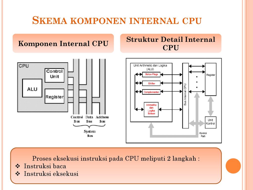 Detail Gambar Struktur Cpu Nomer 35