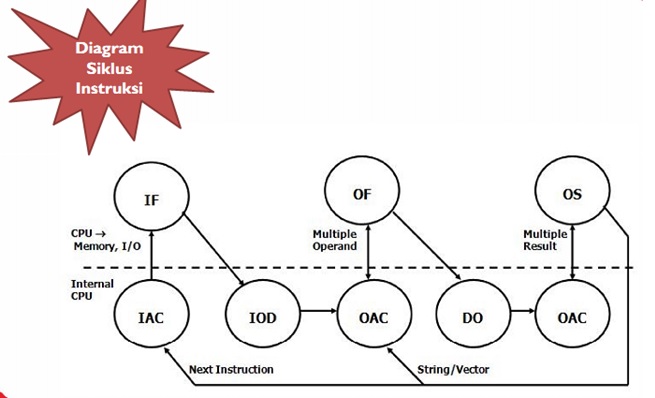 Detail Gambar Struktur Cpu Nomer 49