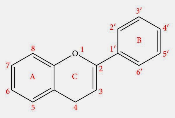 Detail Gambar Struktur Flavonoid Nomer 15