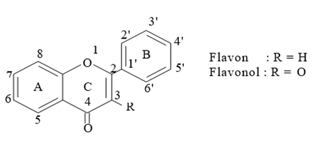 Detail Gambar Struktur Flavonoid Nomer 18