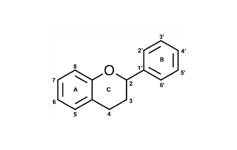 Detail Gambar Struktur Flavonoid Nomer 24