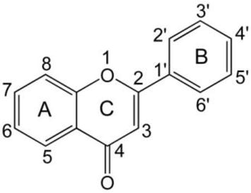 Detail Gambar Struktur Flavonoid Nomer 27