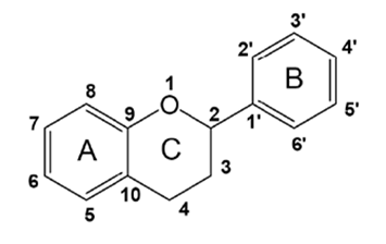 Detail Gambar Struktur Flavonoid Nomer 8