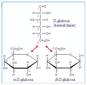 Detail Gambar Struktur Galaktosa Nomer 42