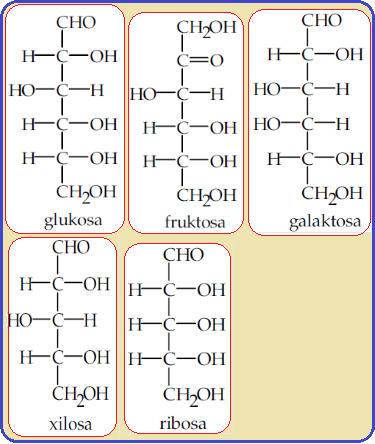 Detail Gambar Struktur Galaktosa Nomer 50