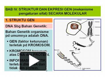 Detail Gambar Struktur Gen Nomer 36