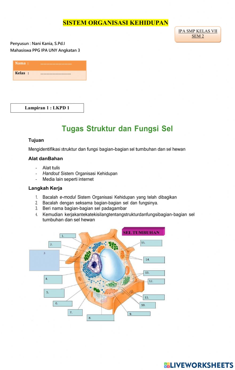 Detail Gambar Struktur Hewan Dan Tumbuhan Nomer 27