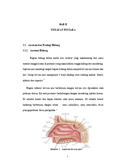 Detail Gambar Struktur Hidung Nomer 46