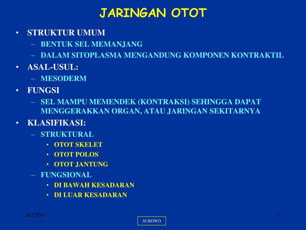 Detail Gambar Struktur Jaringan Otot Nomer 50