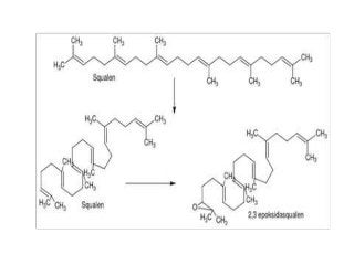 Detail Gambar Struktur Kimia Saponin Nomer 15