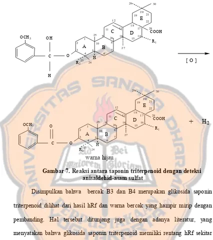 Detail Gambar Struktur Kimia Saponin Nomer 25