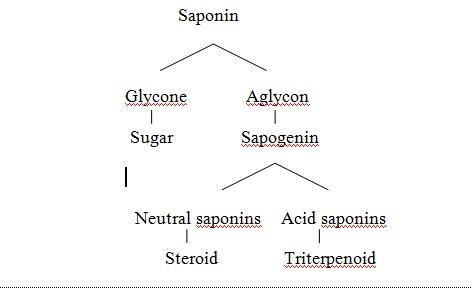Detail Gambar Struktur Kimia Saponin Nomer 38