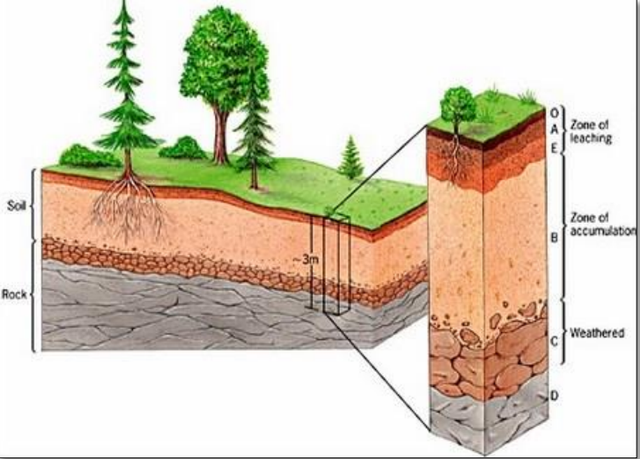 Detail Gambar Struktur Lapisan Tanah Nomer 10