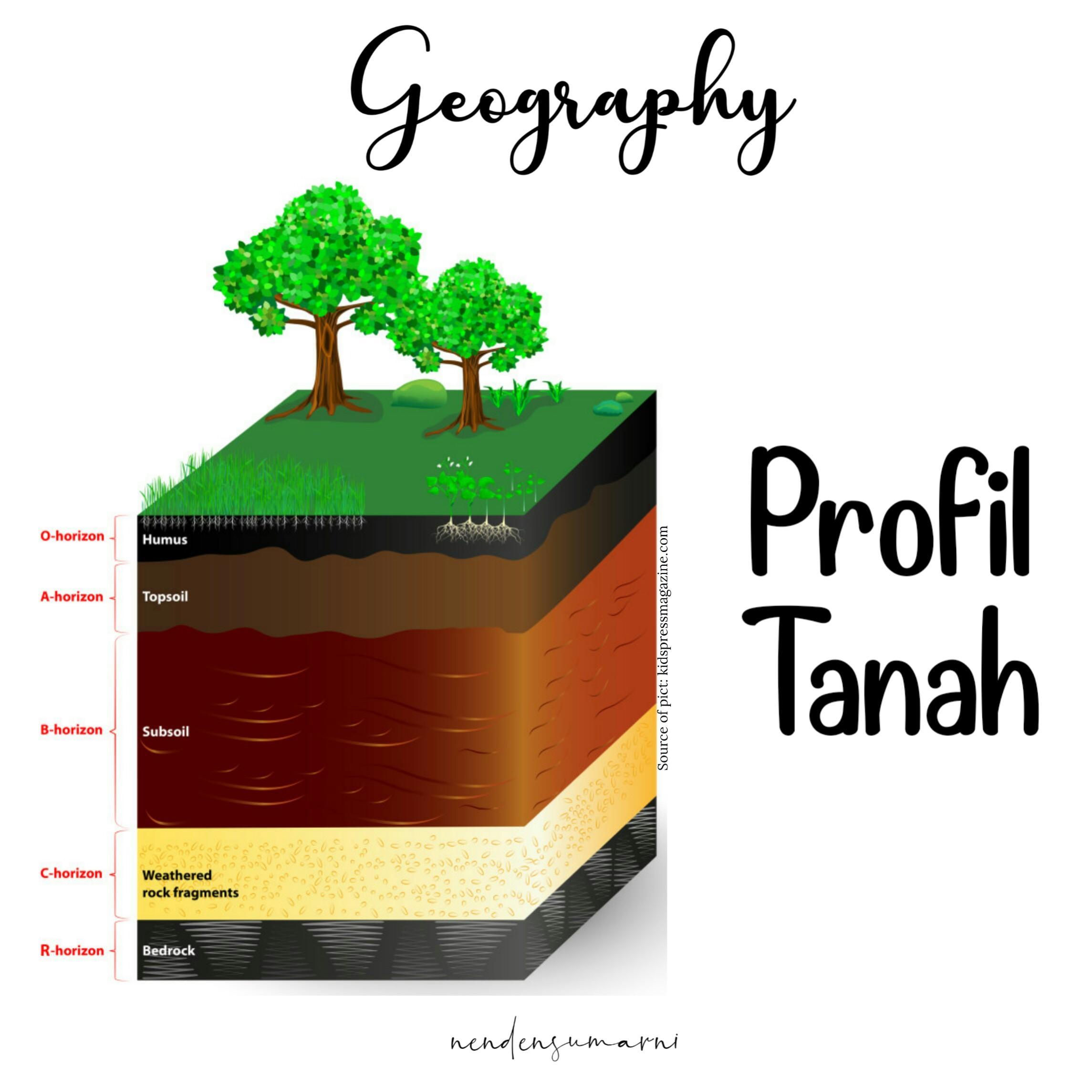 Detail Gambar Struktur Lapisan Tanah Nomer 37