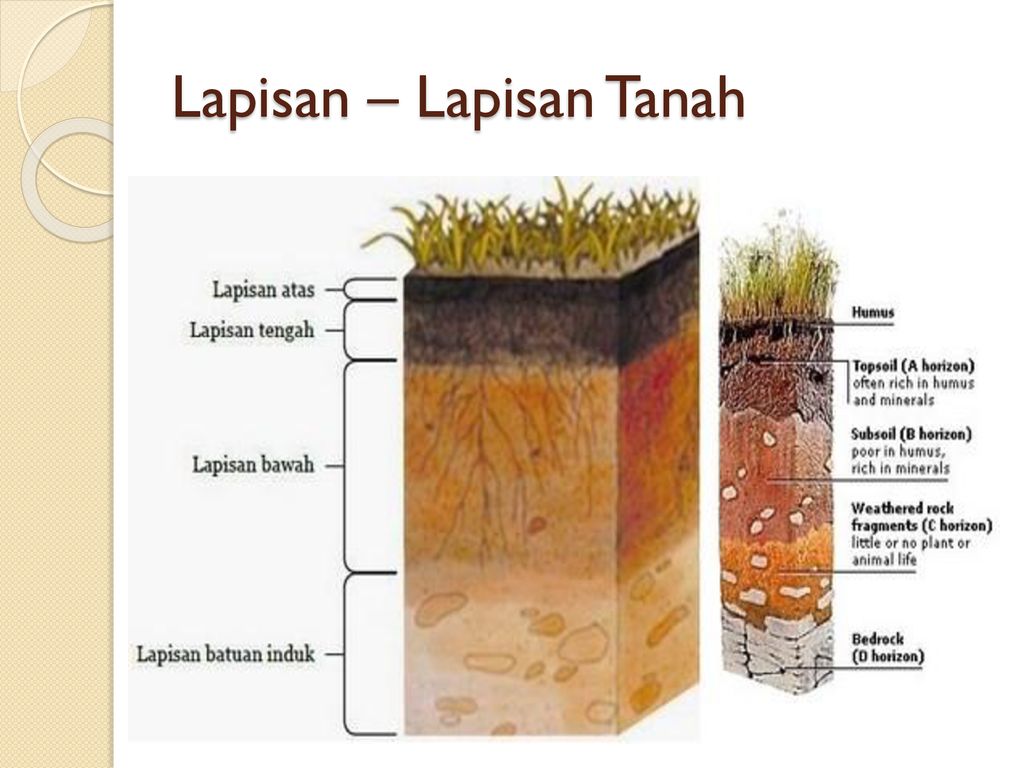 Detail Gambar Struktur Lapisan Tanah Nomer 38