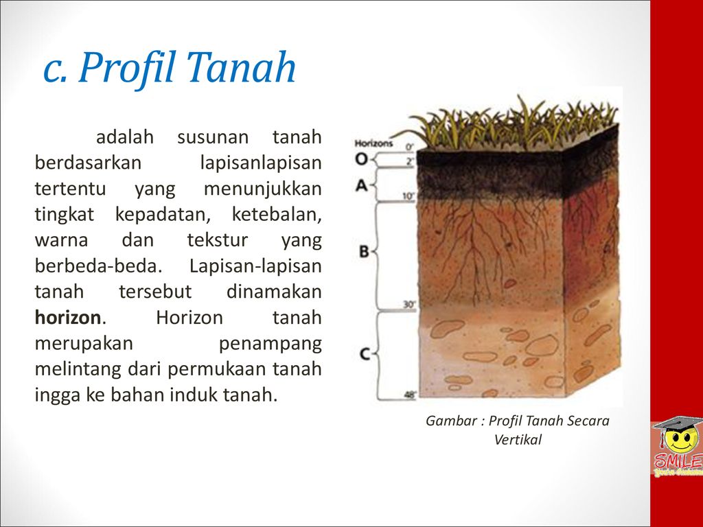 Detail Gambar Struktur Lapisan Tanah Nomer 56