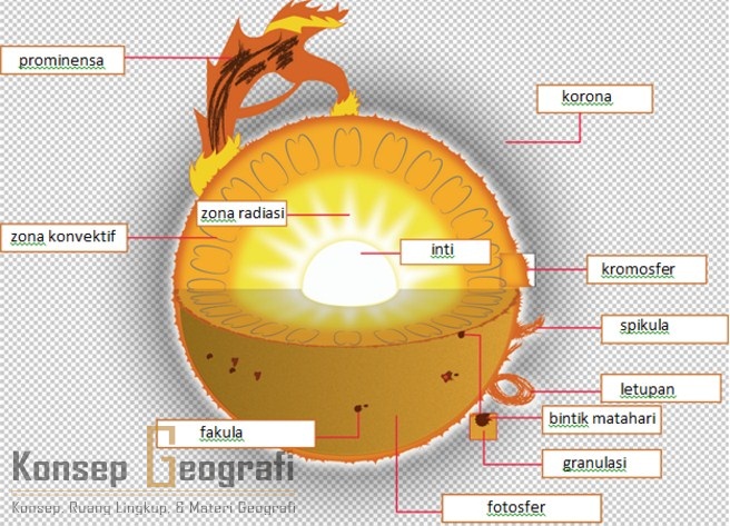 Detail Gambar Struktur Matahari Nomer 3