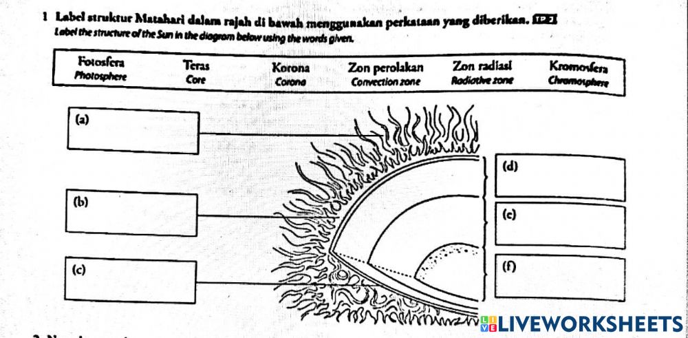 Detail Gambar Struktur Matahari Nomer 46