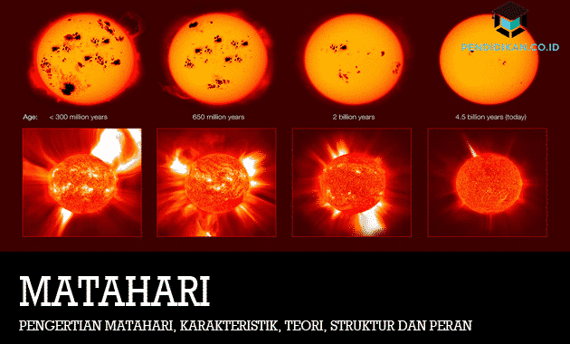 Detail Gambar Struktur Matahari Nomer 47