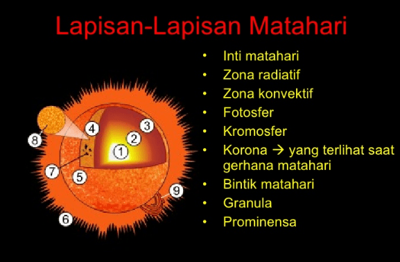 Detail Gambar Struktur Matahari Nomer 49