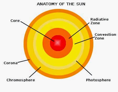 Detail Gambar Struktur Matahari Nomer 6