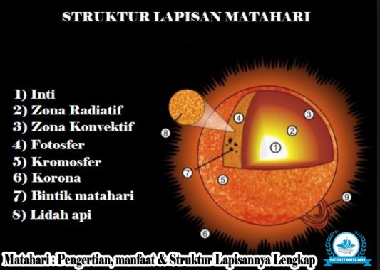 Detail Gambar Struktur Matahari Nomer 7