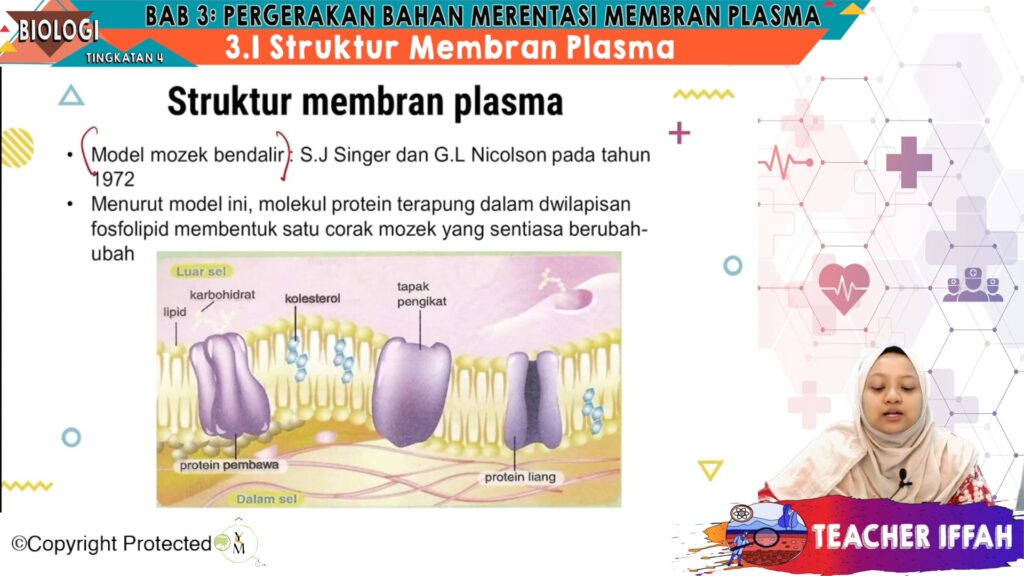 Detail Gambar Struktur Membran Plasma Nomer 32