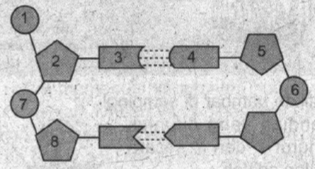 Detail Gambar Struktur Nukleotida Nomer 53