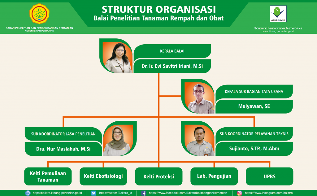 Detail Gambar Struktur Organisasi Nomer 29