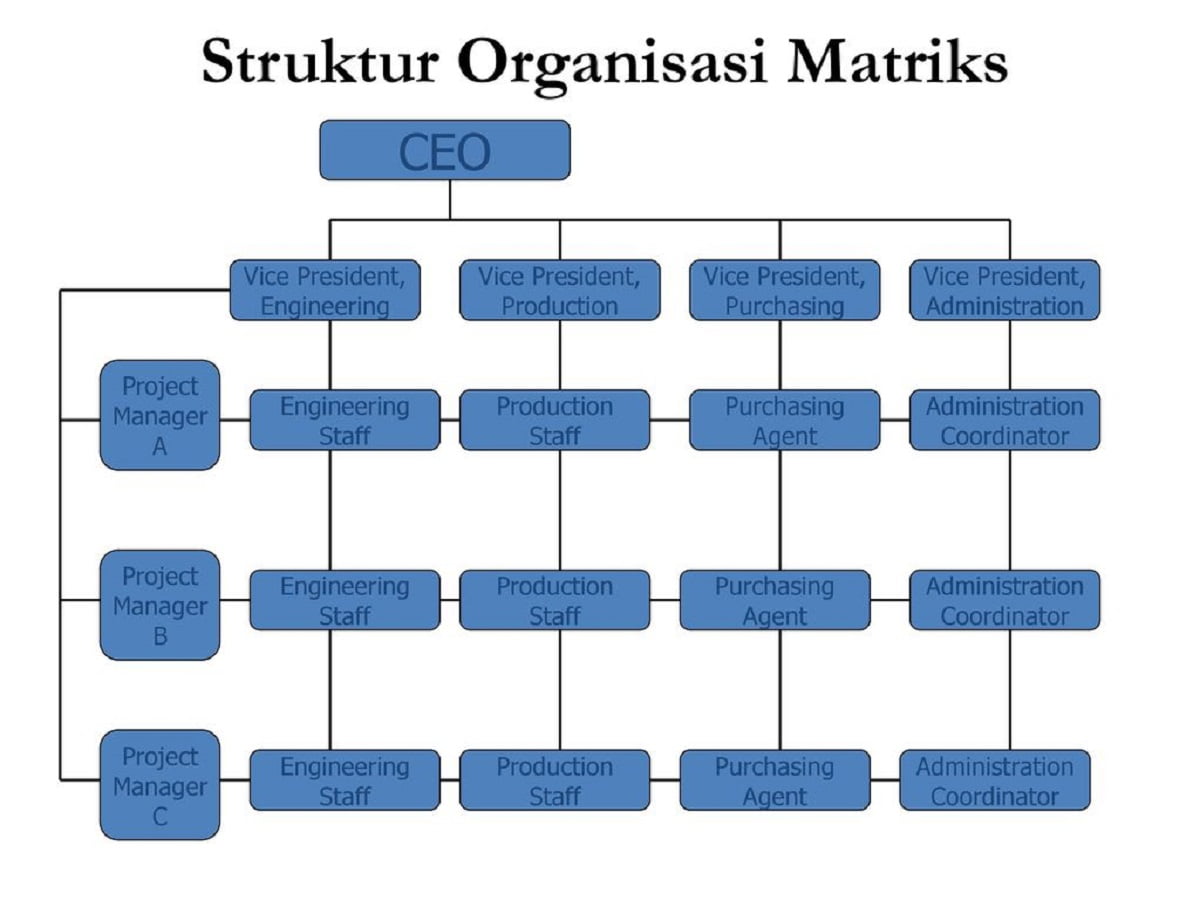 Detail Gambar Struktur Organisasi Garis Dan Staf Nomer 39