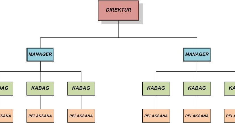 Detail Gambar Struktur Organisasi Lini Nomer 9